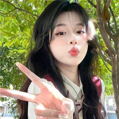 禁宫十二钗